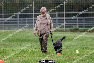 IMG_1085.jpg