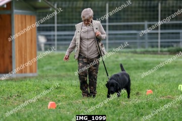 IMG_1099.jpg