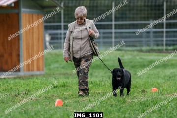 IMG_1101.jpg
