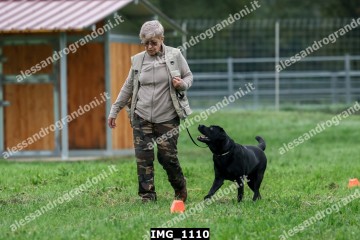 IMG_1110.jpg
