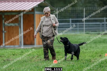 IMG_1112.jpg