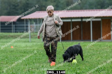 IMG_1148.jpg