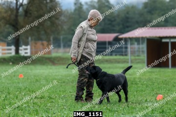 IMG_1151.jpg