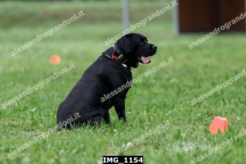 IMG_1154.jpg