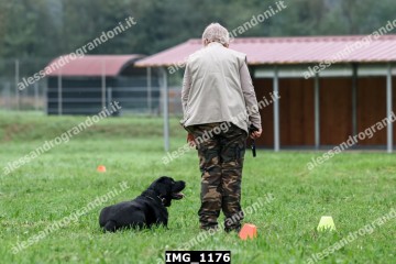 IMG_1176.jpg