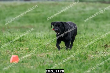 IMG_1178.jpg