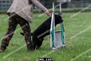 IMG_1207.jpg
