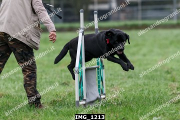 IMG_1213.jpg
