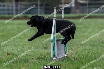IMG_1238.jpg