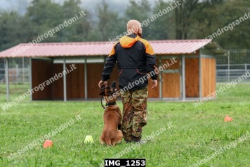IMG_1253.jpg