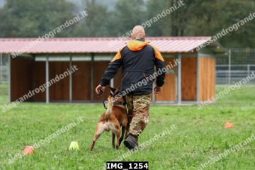 IMG_1254.jpg