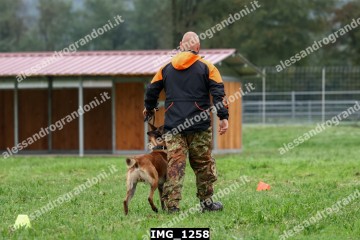 IMG_1258.jpg