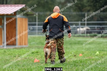 IMG_1263.jpg