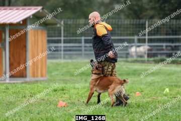 IMG_1268.jpg