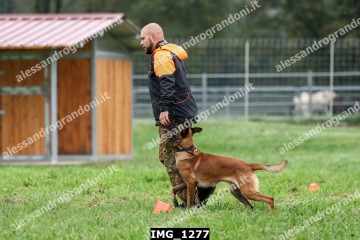 IMG_1277.jpg