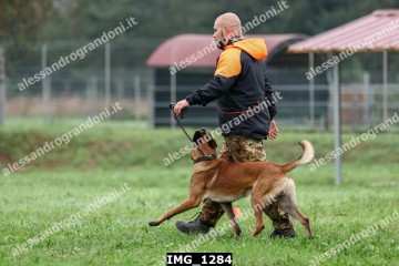 IMG_1284.jpg