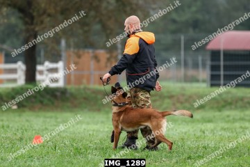 IMG_1289.jpg