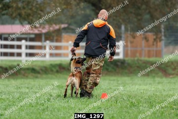 IMG_1297.jpg