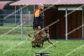 IMG_1308.jpg