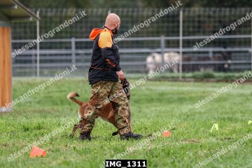 IMG_1311.jpg
