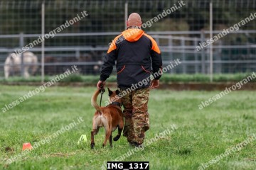 IMG_1317.jpg