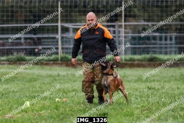 IMG_1326.jpg