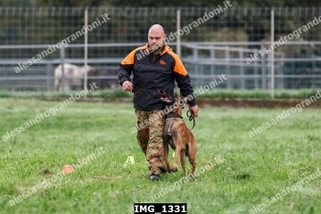 IMG_1331.jpg