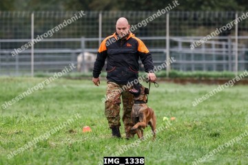 IMG_1338.jpg