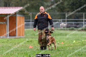 IMG_1364.jpg