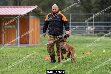 IMG_1367.jpg