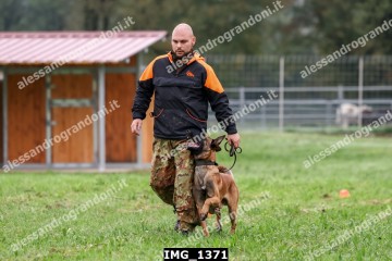 IMG_1371.jpg