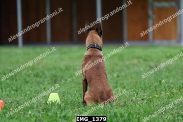 IMG_1379.jpg