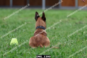 IMG_1390.jpg