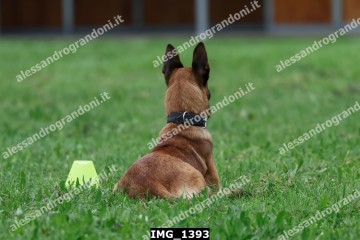 IMG_1393.jpg