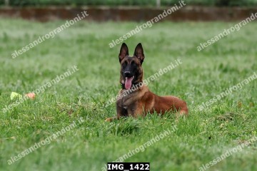 IMG_1422.jpg