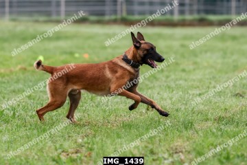 IMG_1439.jpg