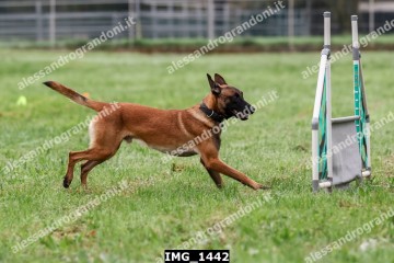 IMG_1442.jpg