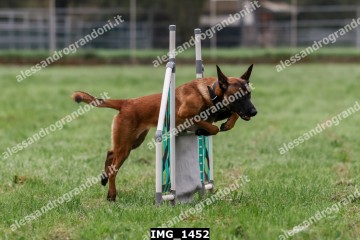 IMG_1452.jpg