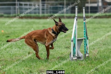IMG_1488.jpg