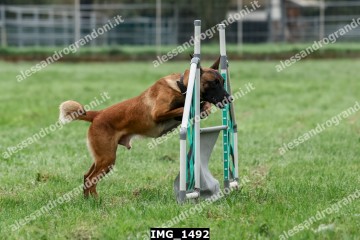 IMG_1492.jpg