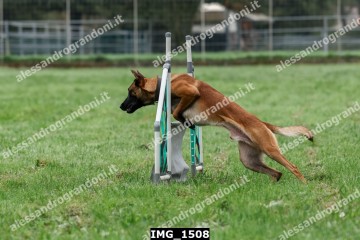 IMG_1508.jpg