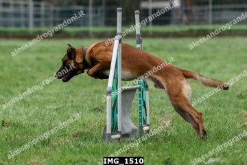 IMG_1510.jpg