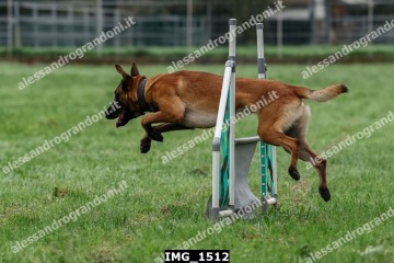 IMG_1512.jpg