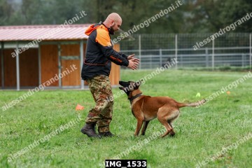 IMG_1533.jpg