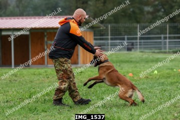 IMG_1537.jpg