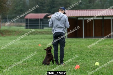IMG_1587.jpg