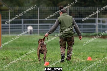 IMG_3767.jpg