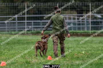 IMG_3772.jpg