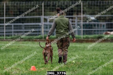 IMG_3776.jpg