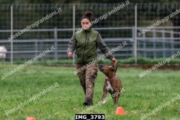 IMG_3793.jpg